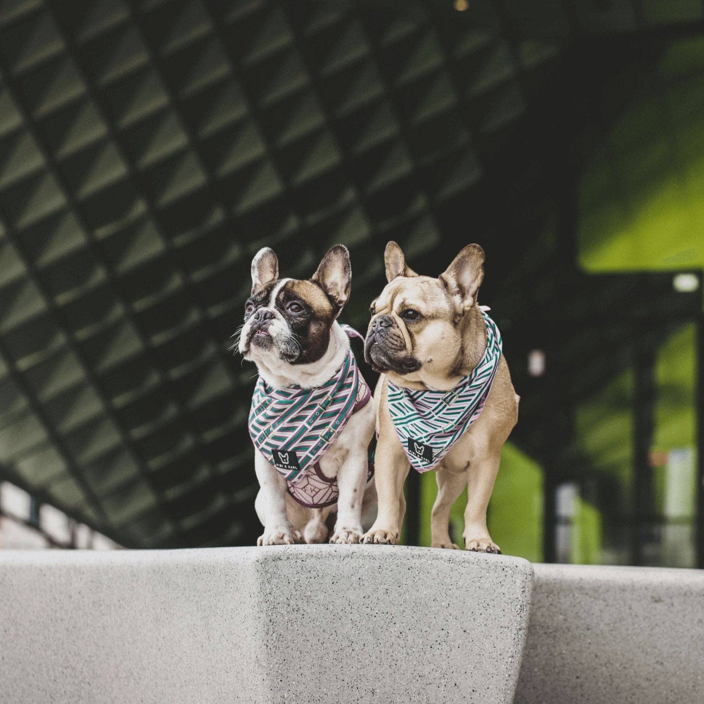 FK Beltington Bandana: One Size