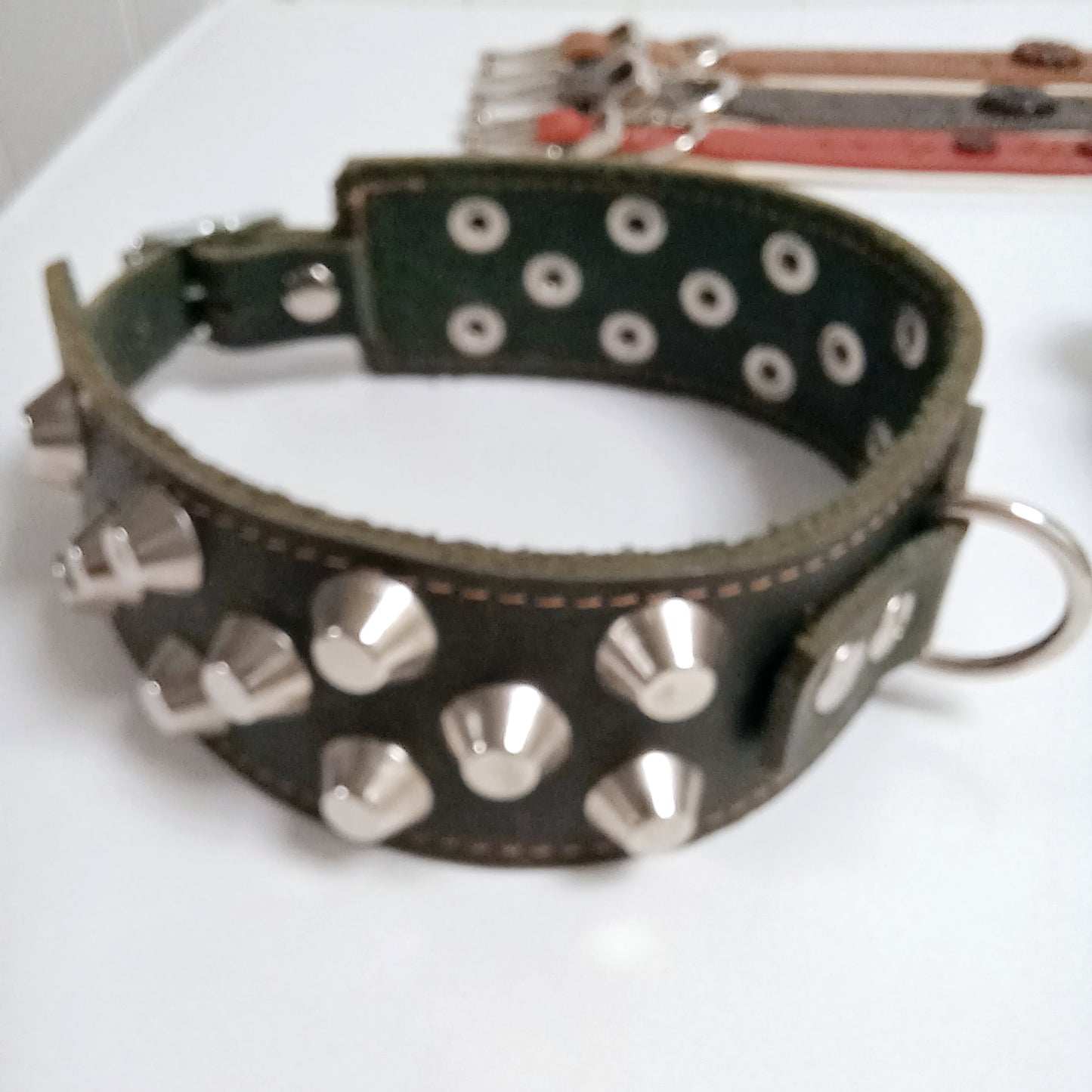 Noble Dog Hundhalsband – Stilrent och Hållbart med Runda Nitar