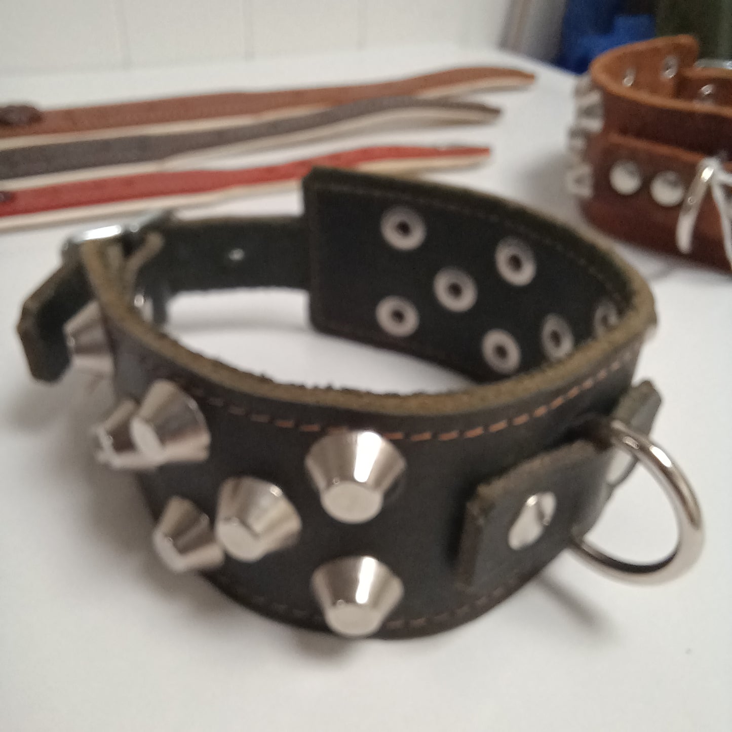 Noble Dog Hundhalsband – Stilrent och Hållbart med Runda Nitar