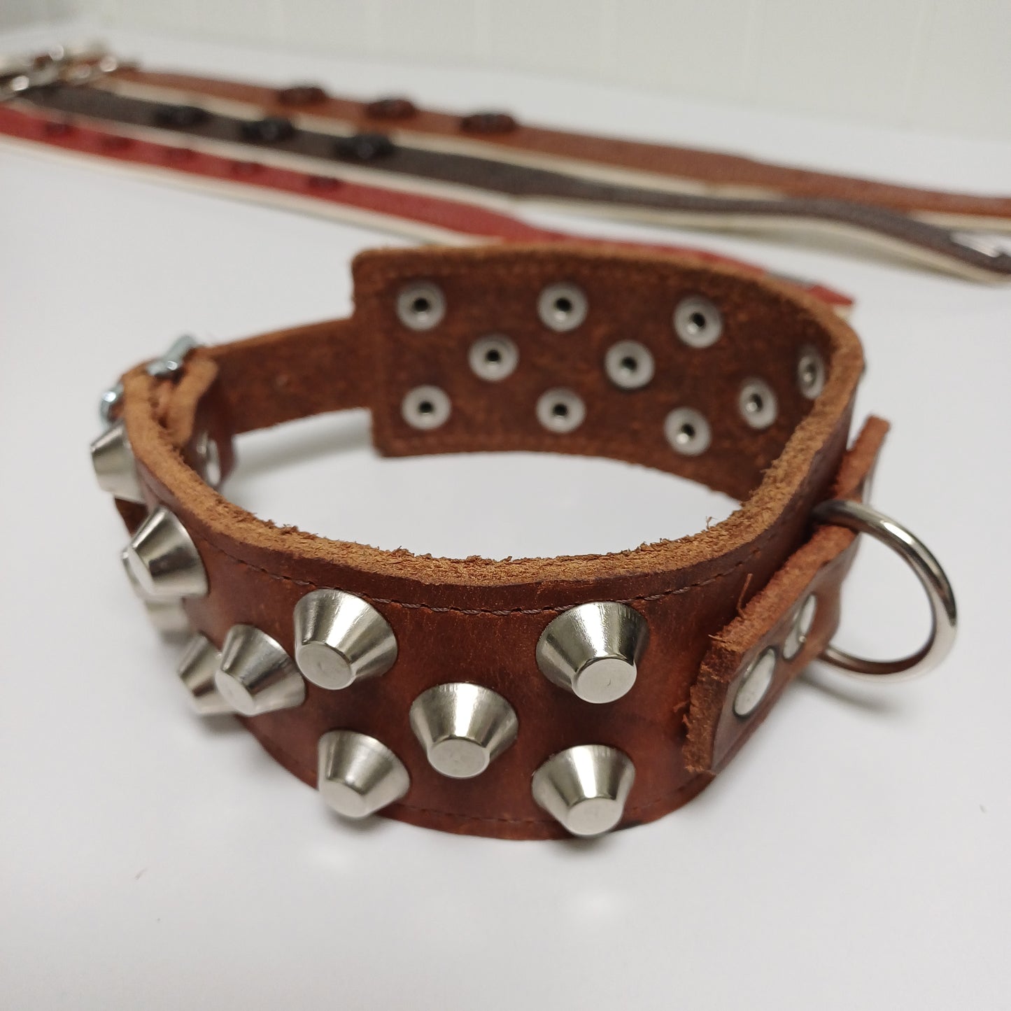Noble Dog Hundhalsband – Stilrent och Hållbart med Runda Nitar