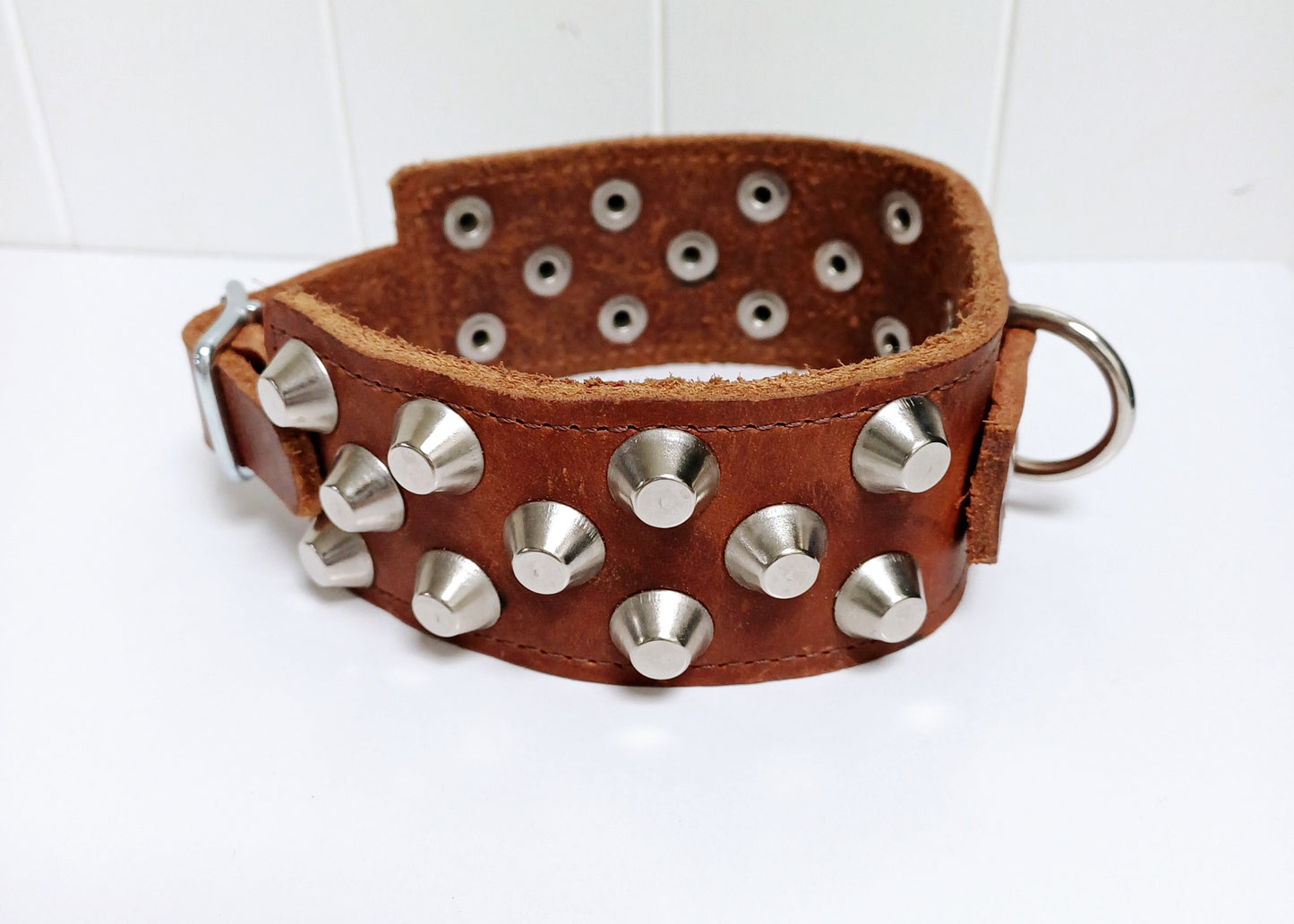 Noble Dog Hundhalsband – Stilrent och Hållbart med Runda Nitar