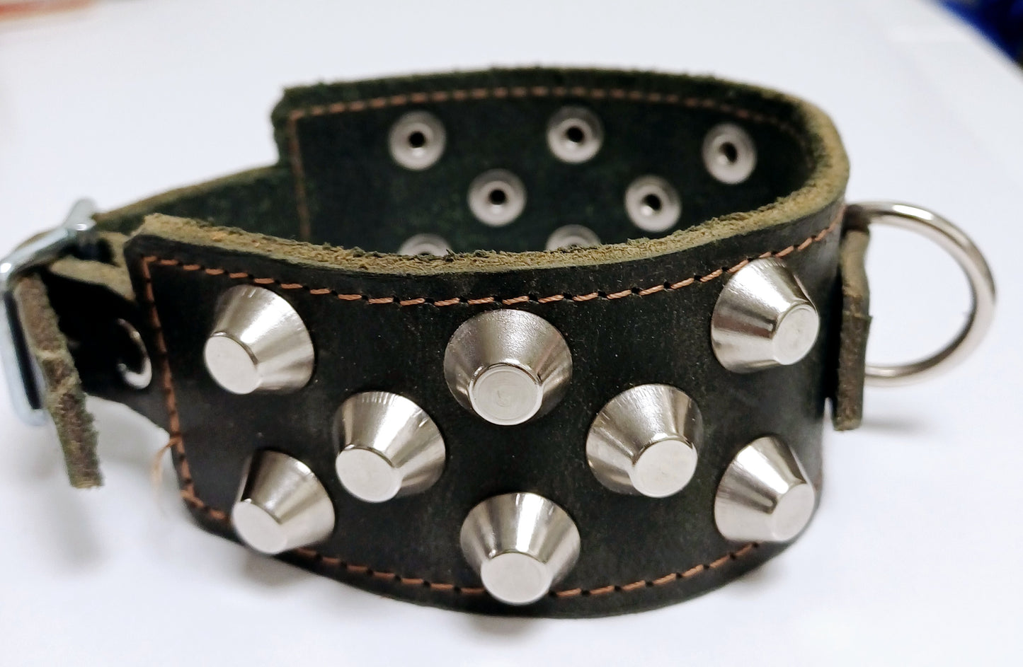 Noble Dog Hundhalsband – Stilrent och Hållbart med Runda Nitar