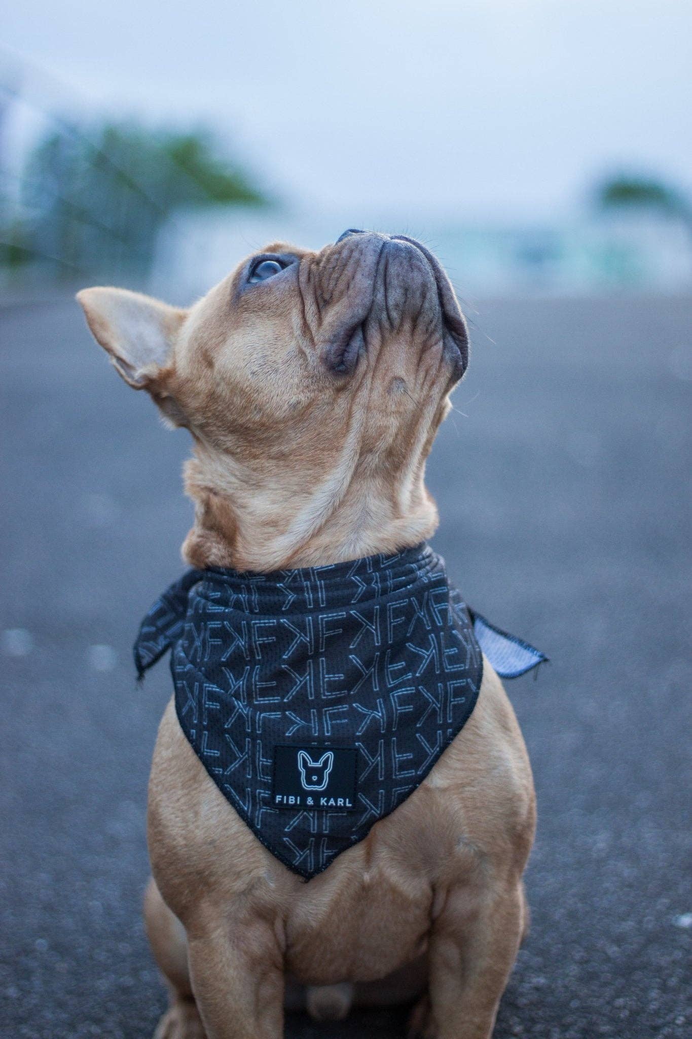 FK hund bandana: One Size