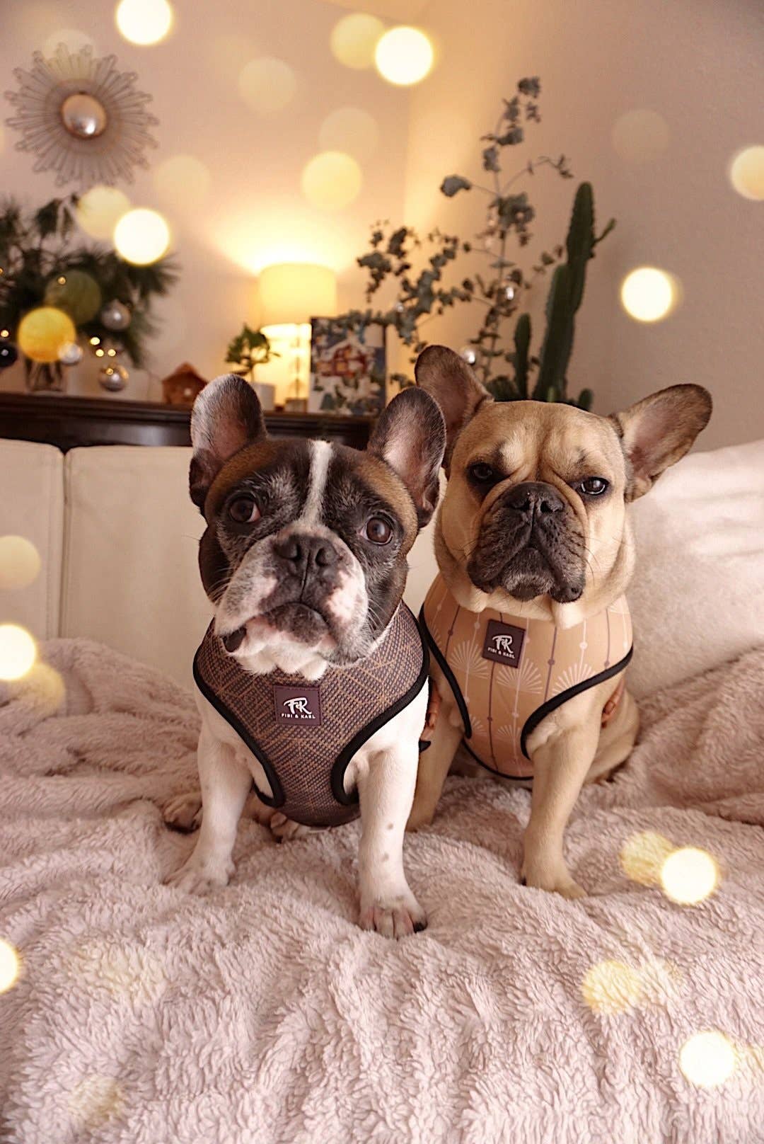 2-i-1 Hundsele –Golden Shimmer FK Reversibel Sele