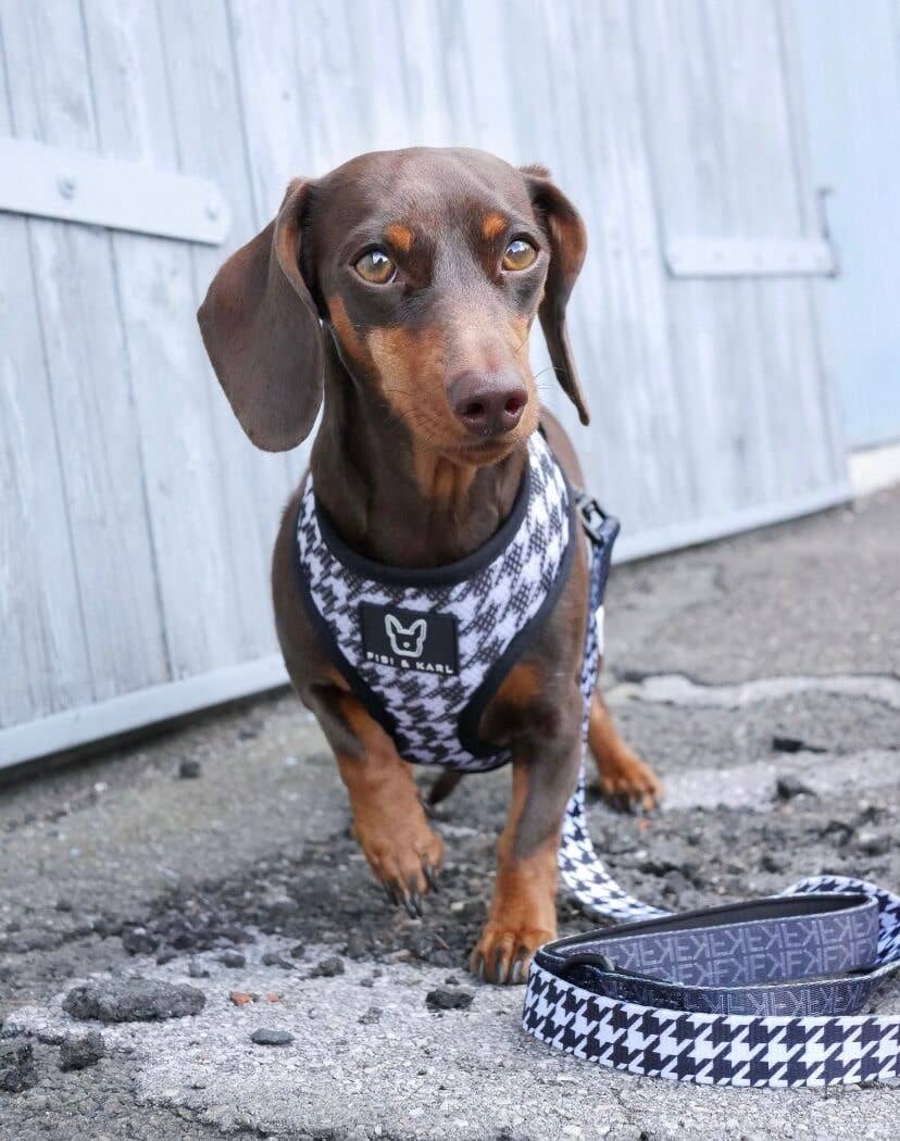 2-i-1 Hundsele – Fibi & Karl Reversibel Sele