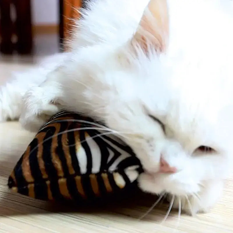 Wildlife Cat Wrestler