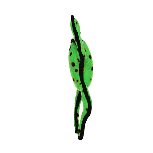 Tuffy Desert Frog