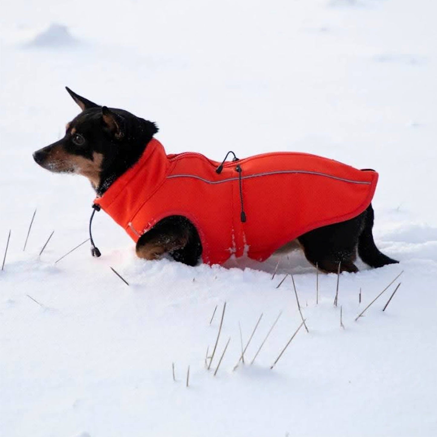 FINNERO SPORT Softshell-jacka – Komfort och Skydd året runt