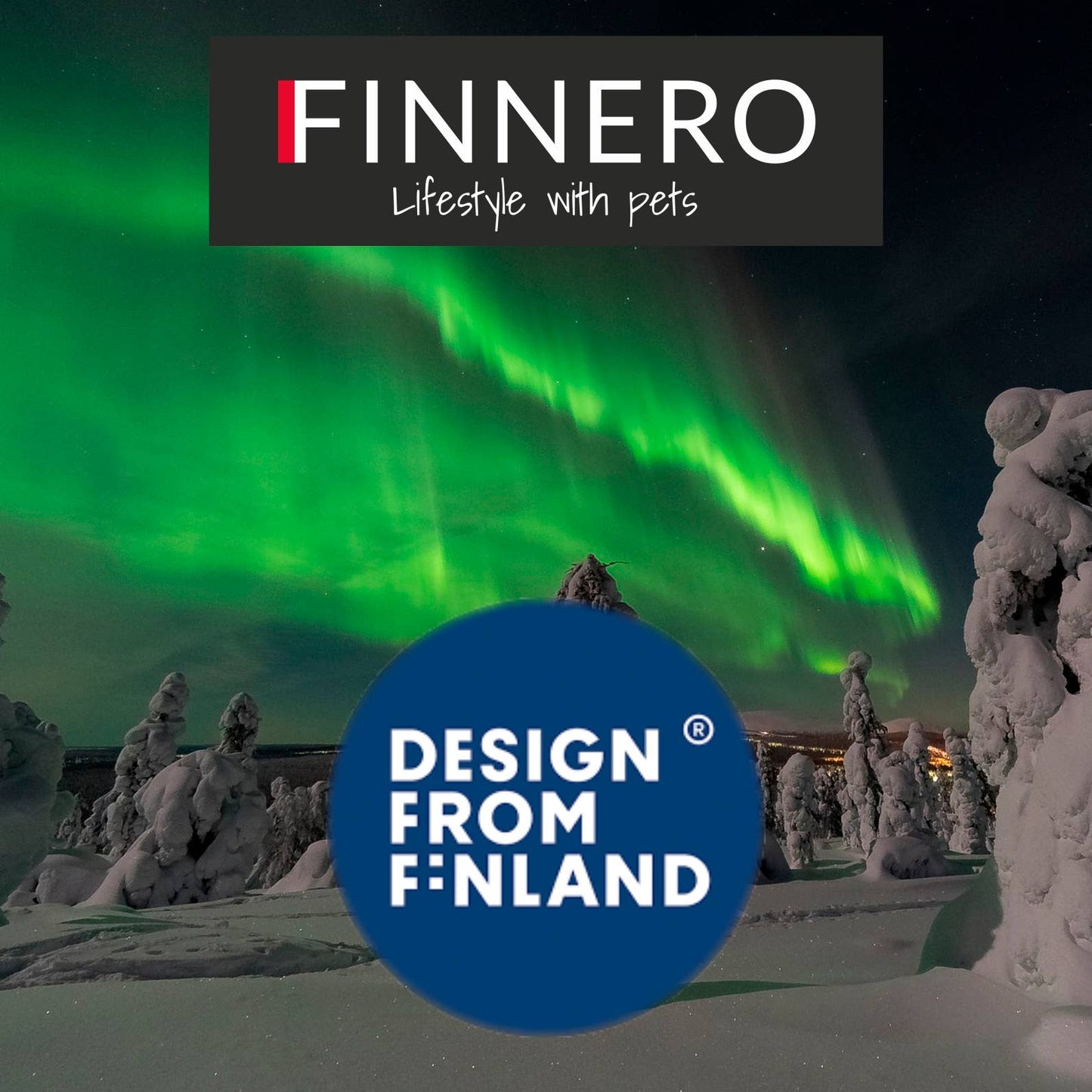 FINNERO SULO - Skyddande hundstövlar 2 st/set, Orange