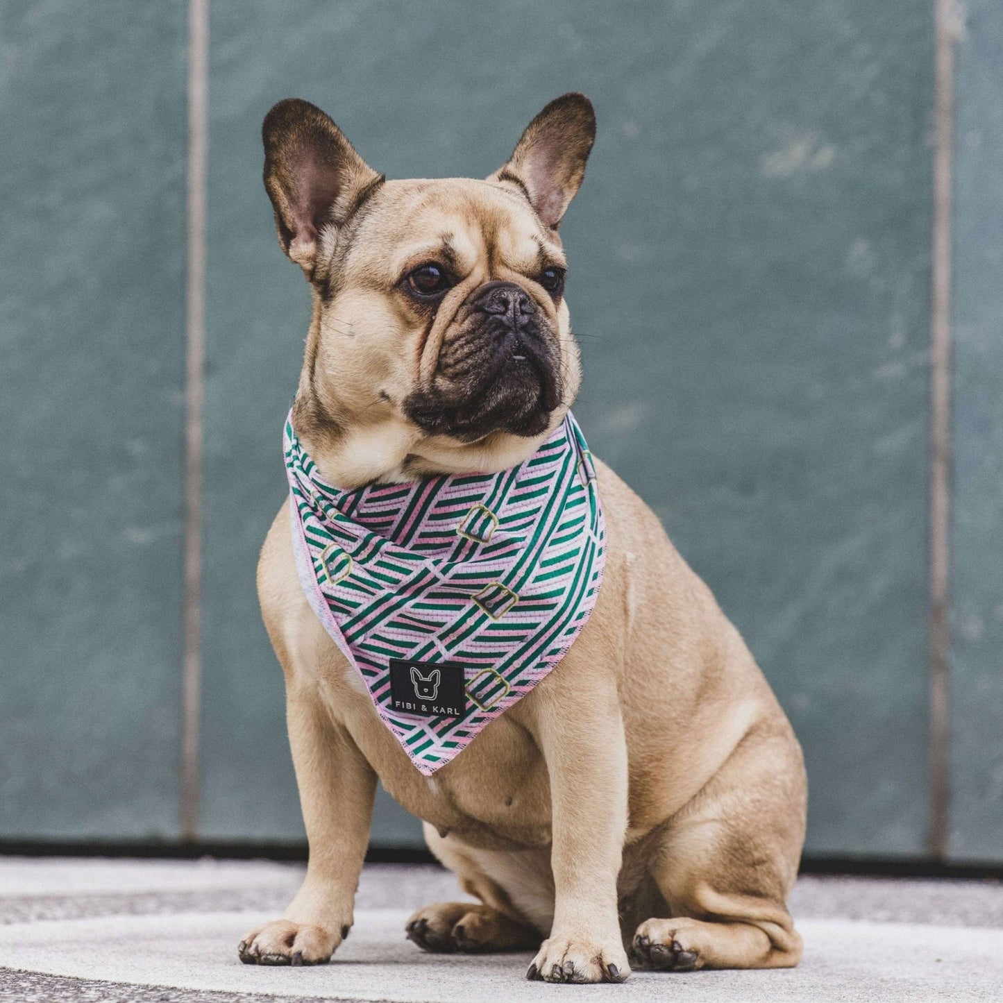 FK Beltington bandana rosa: One Size