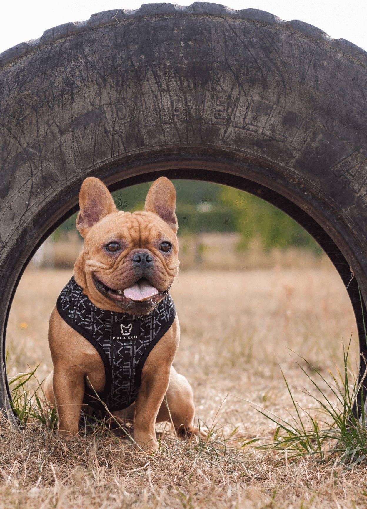 2-i-1 Hundsele – Fibi & Karl Reversibel Sele