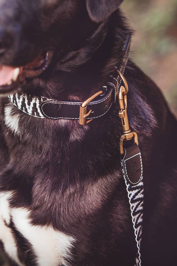 Handgjorda Hey Lana hundhalsband: Rosa/Svart S - L