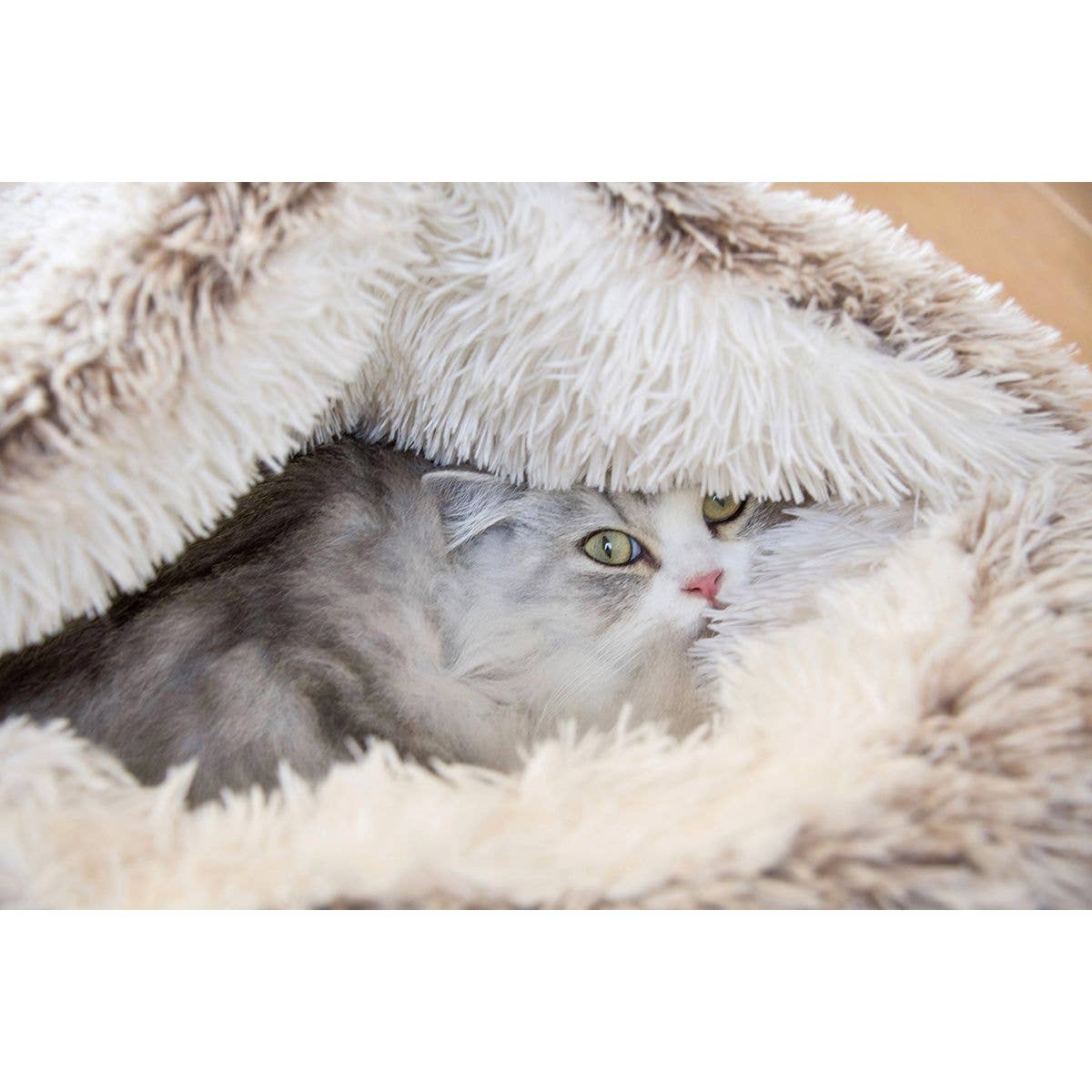Poilu Bubble kryp-in-igloo - Bobby So French