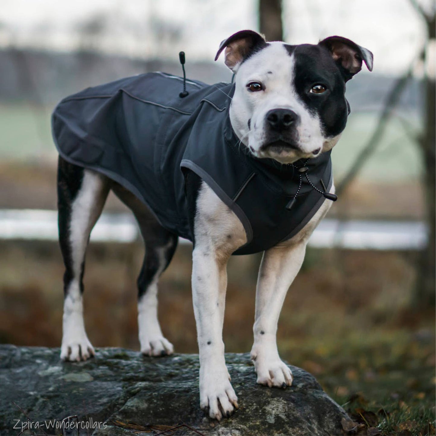 FINNERO SPORT Softshell-jacka – Komfort och Skydd året runt