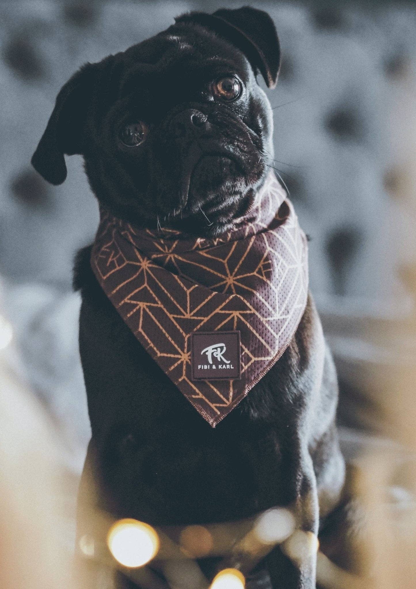 FK Gyllene Skimmer Bandana; One Size