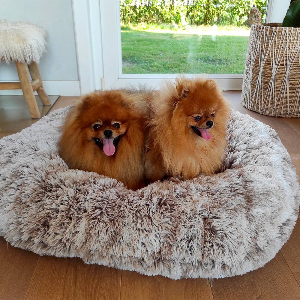 Hundsäng - Poilu Donut - Bobby