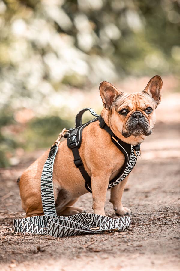 Premium Hey Lana hundkoppel - 3-vägs justerbar - 1,8 m - 2,0 m