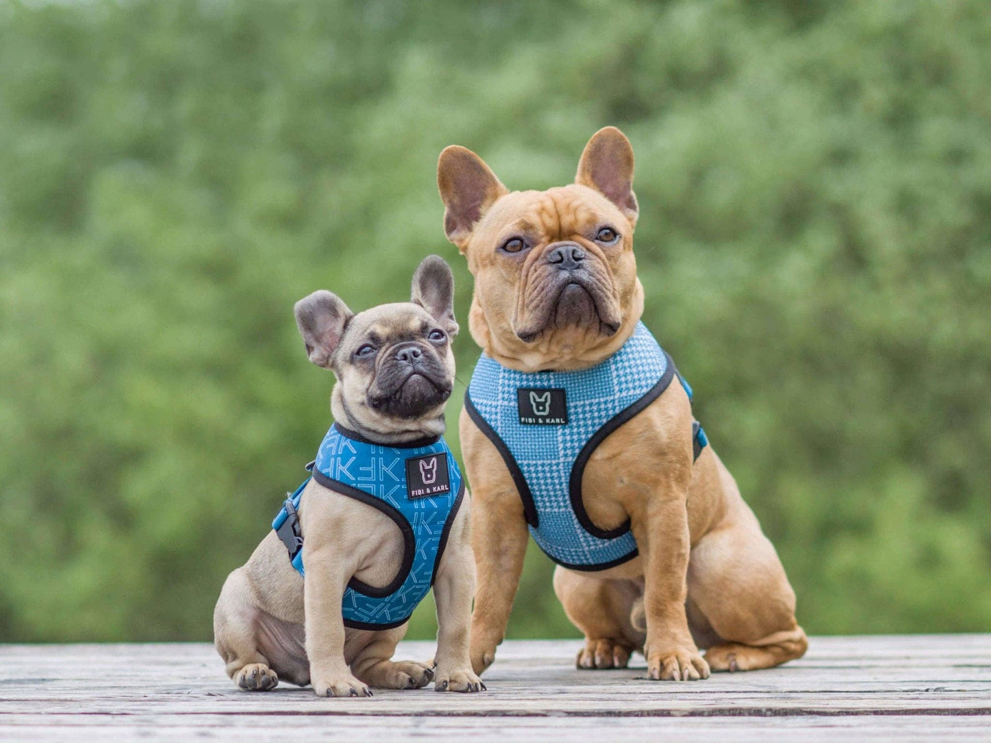 2-i-1 hund sele FK Summer Edition Reversible Sele