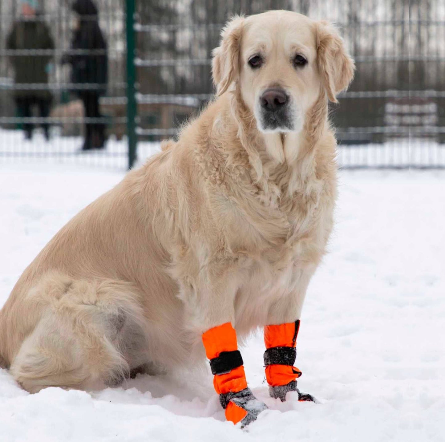 FINNERO SULO - Skyddande hundstövlar 2 st/set, Orange