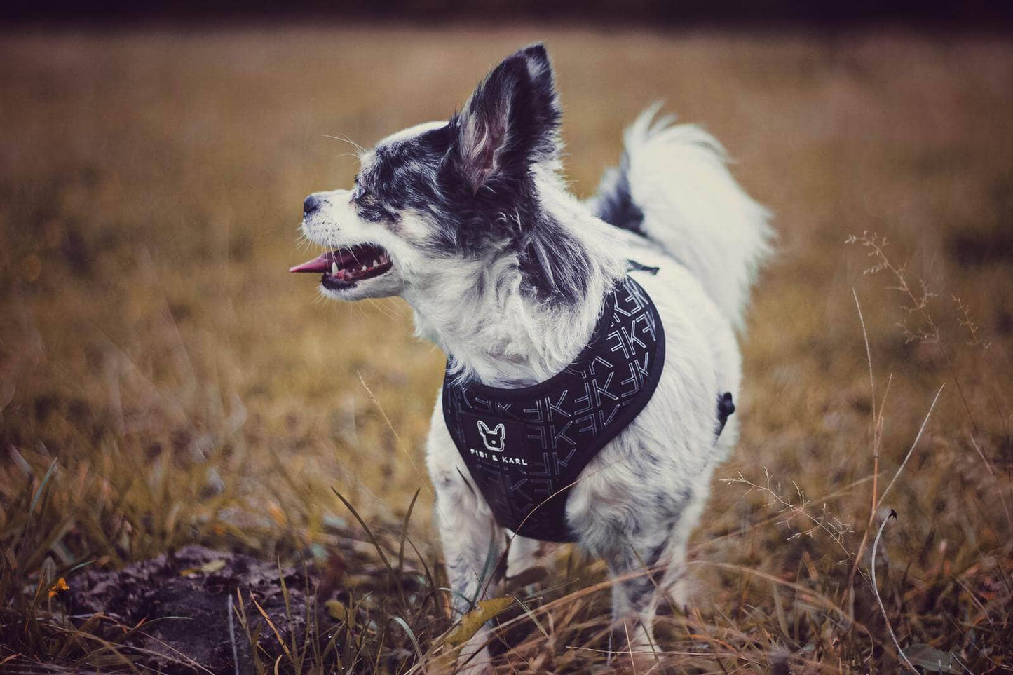 2-i-1 Hundsele – Fibi & Karl Reversibel Sele