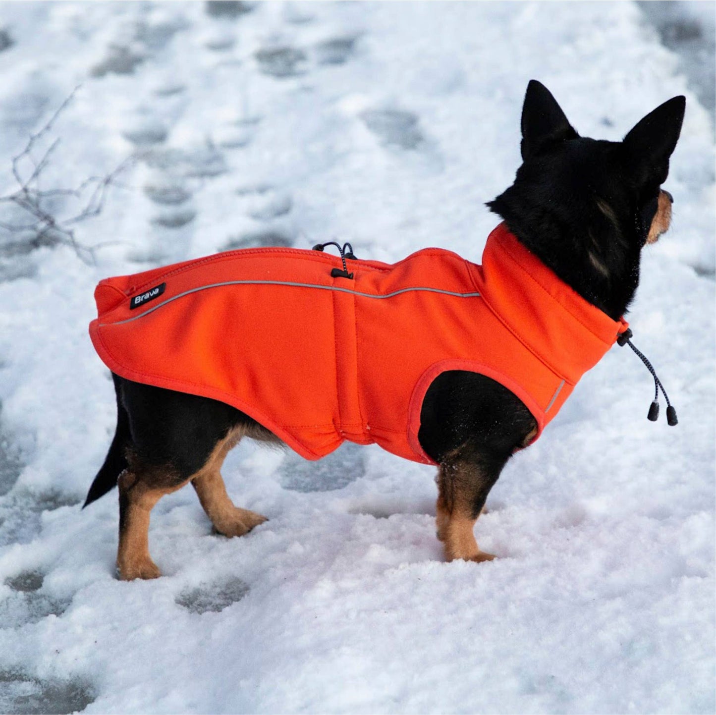 FINNERO SPORT Softshell-jacka – Komfort och Skydd året runt