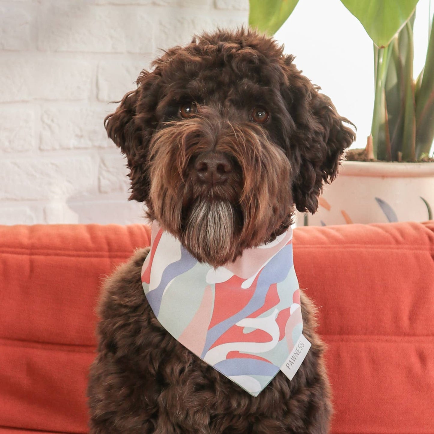 Vändbar Bandana — Tass Clapper: S