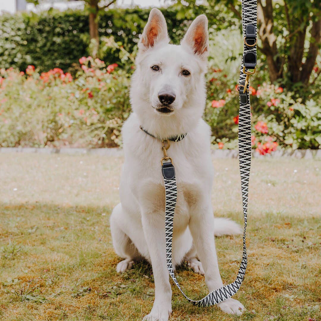 Premium Hey Lana hundkoppel - 3-vägs justerbar - 1,8 m - 2,0 m