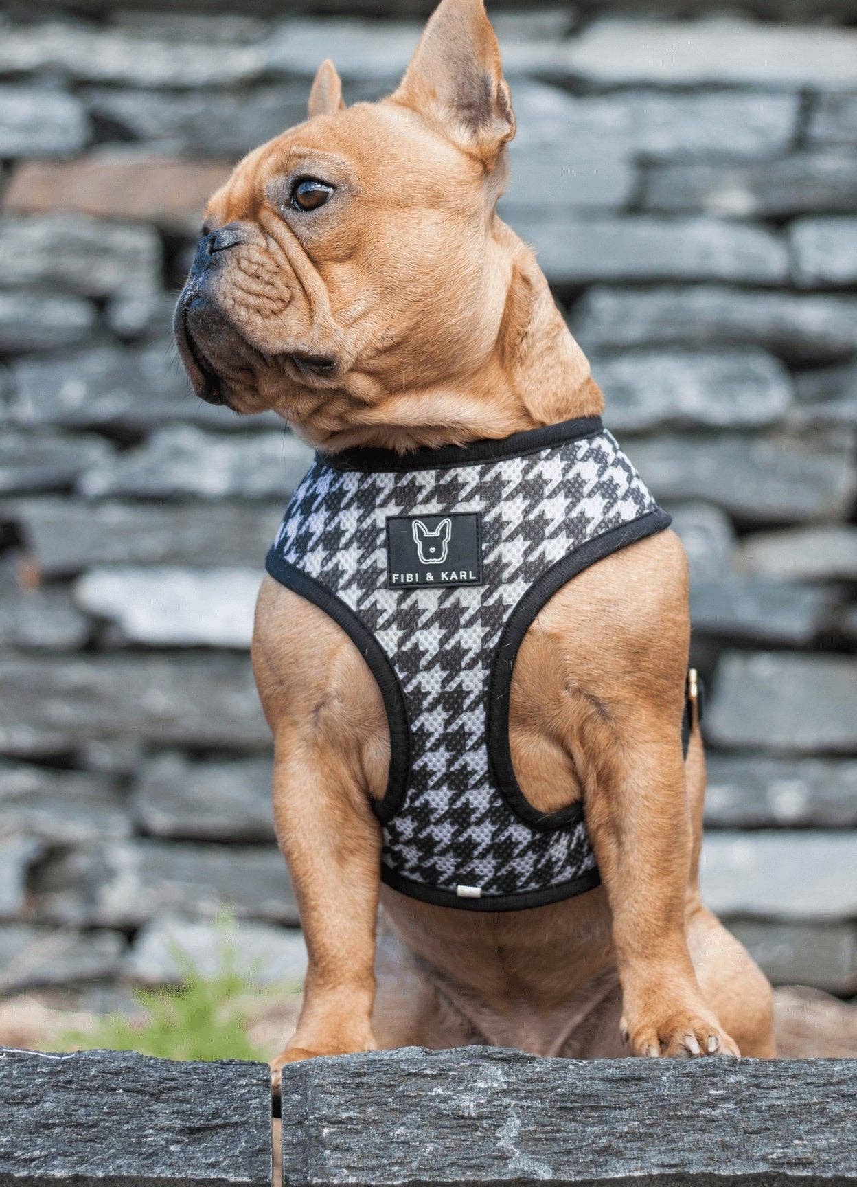 2-i-1 Hundsele – Fibi & Karl Reversibel Sele