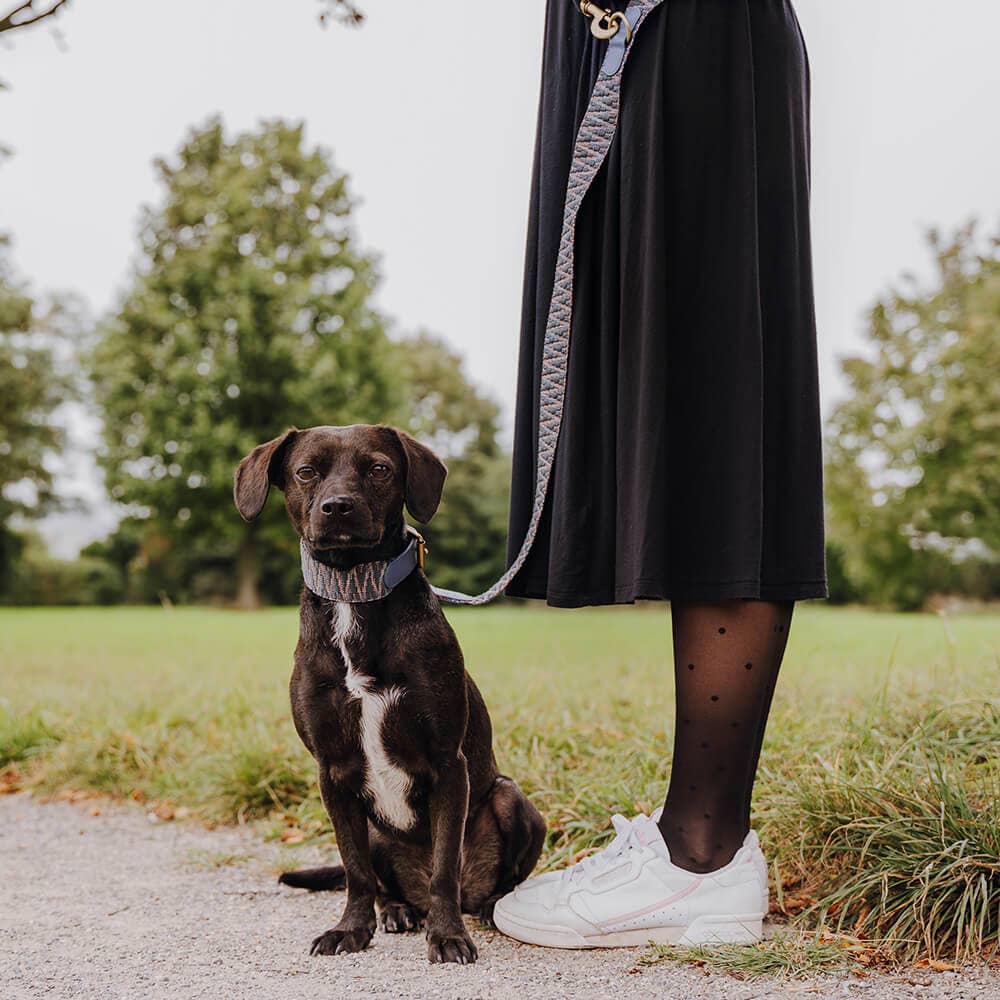 Handgjorda Hey Lana hundhalsband: Rosa/Svart S - L