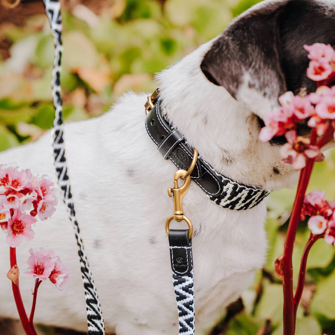 Premium Hey Lana hundkoppel - 3-vägs justerbar - 1,8 m - 2,0 m