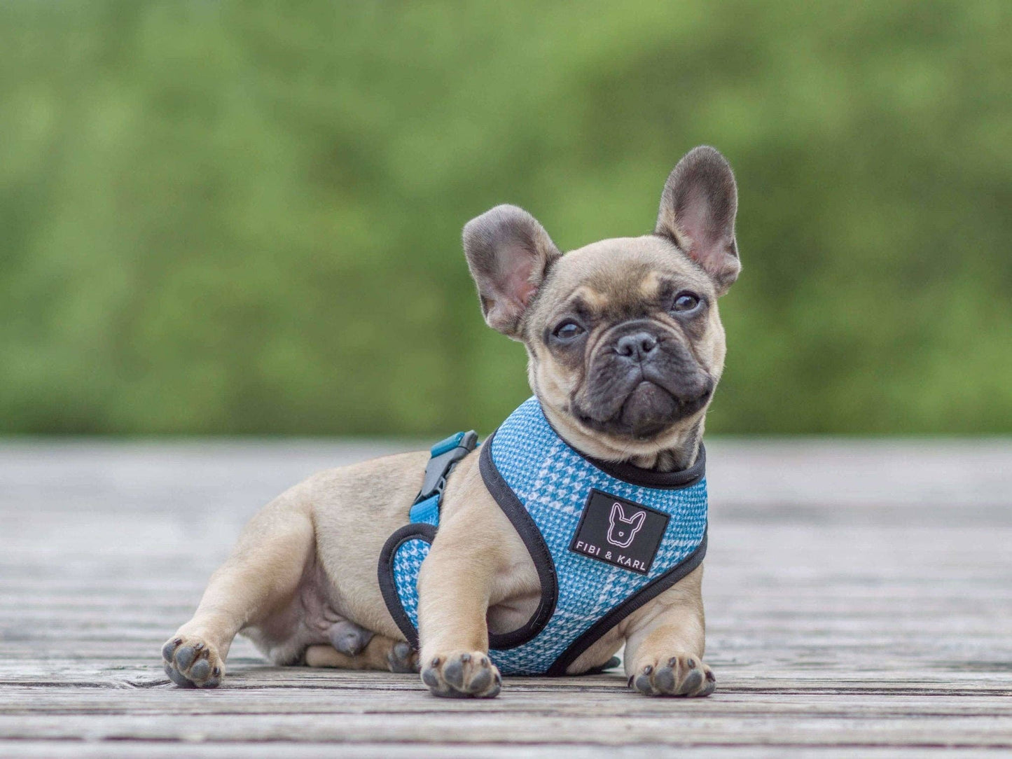 2-i-1 hund sele FK Summer Edition Reversible Sele